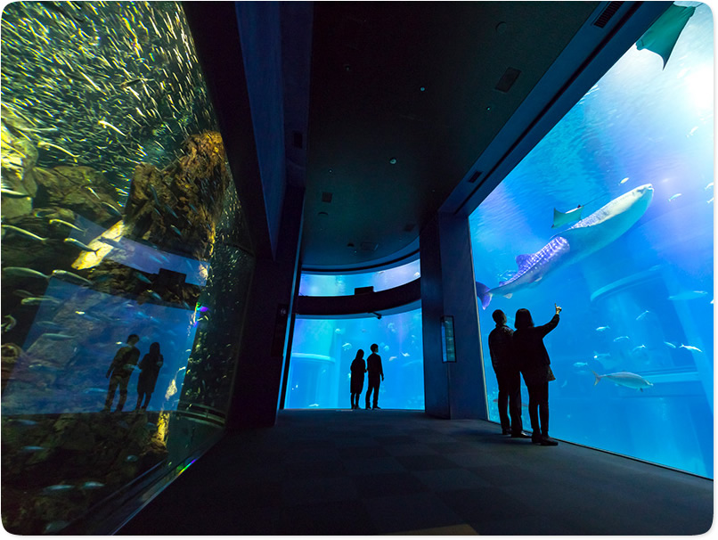 Osaka Aquarium KAIYUKAN
