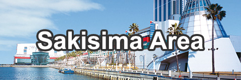 Sakisima Area