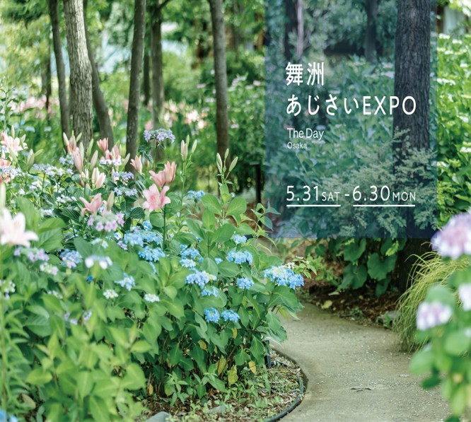 100種類以上のあじさいが咲き誇る「舞洲あじさいEXPO」